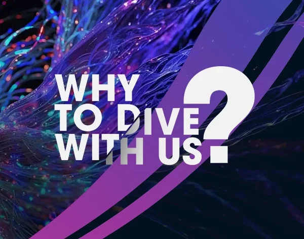 why--site